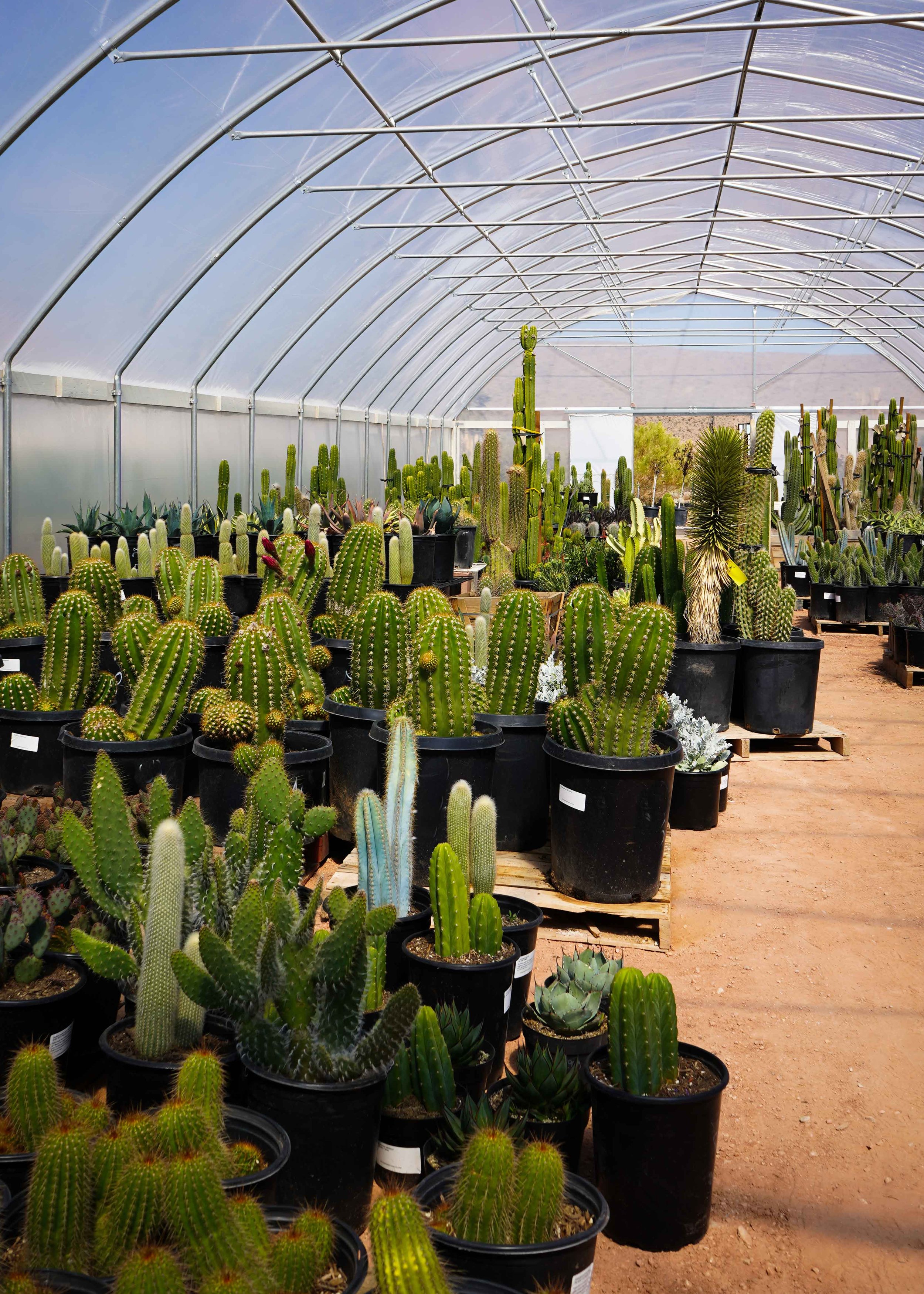 A Drive to Desert Hot Springs and Small-Town Gems | Wildsam