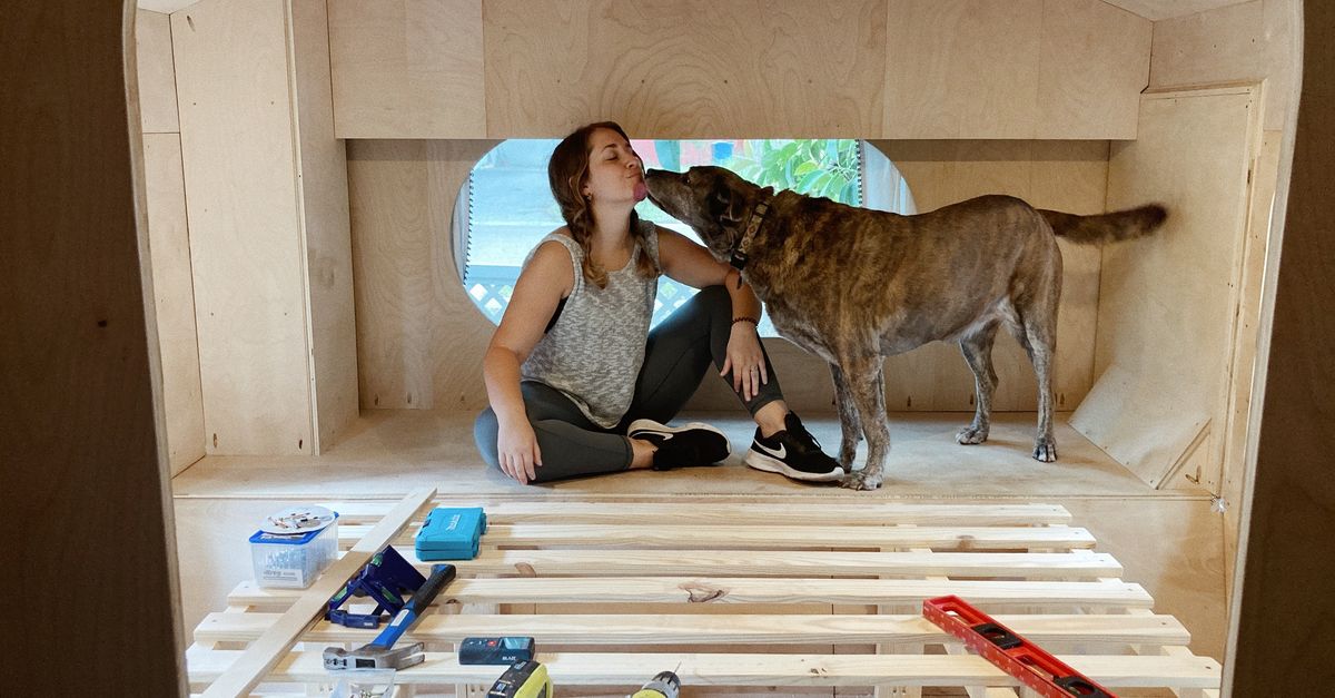 Building the Plywood Palace Wildsam