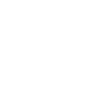 Google Premier partners logo
