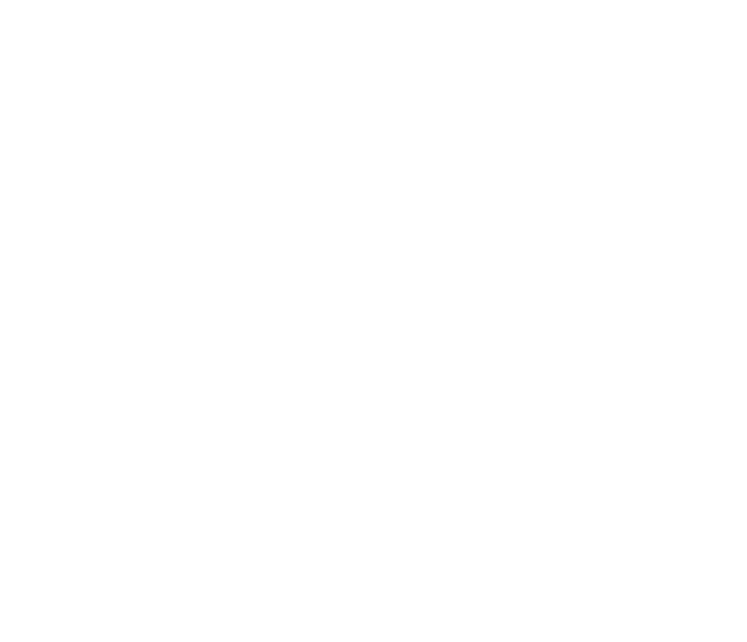 anon logo