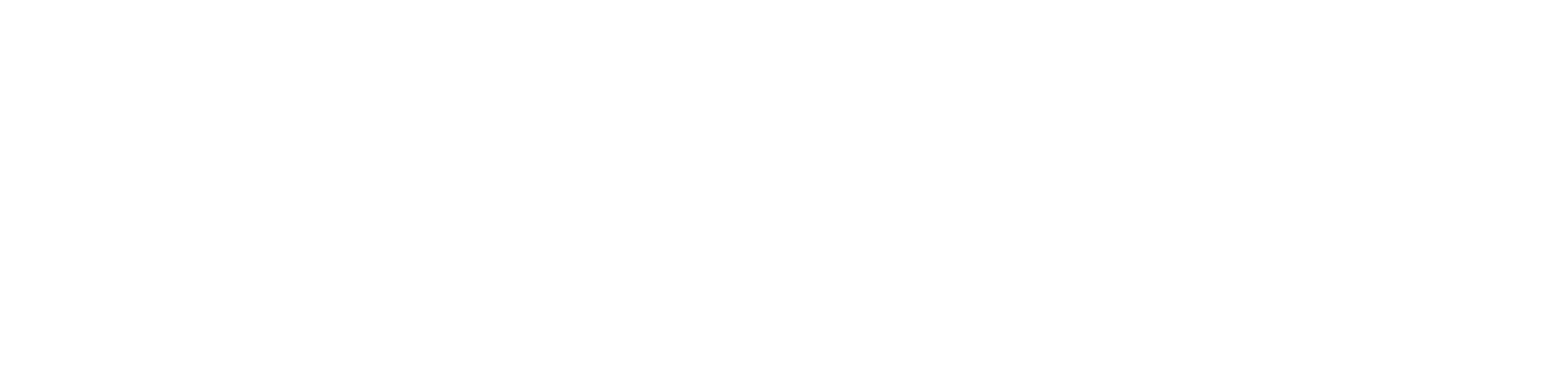 skiny logo