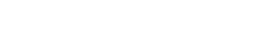 Next JS logo