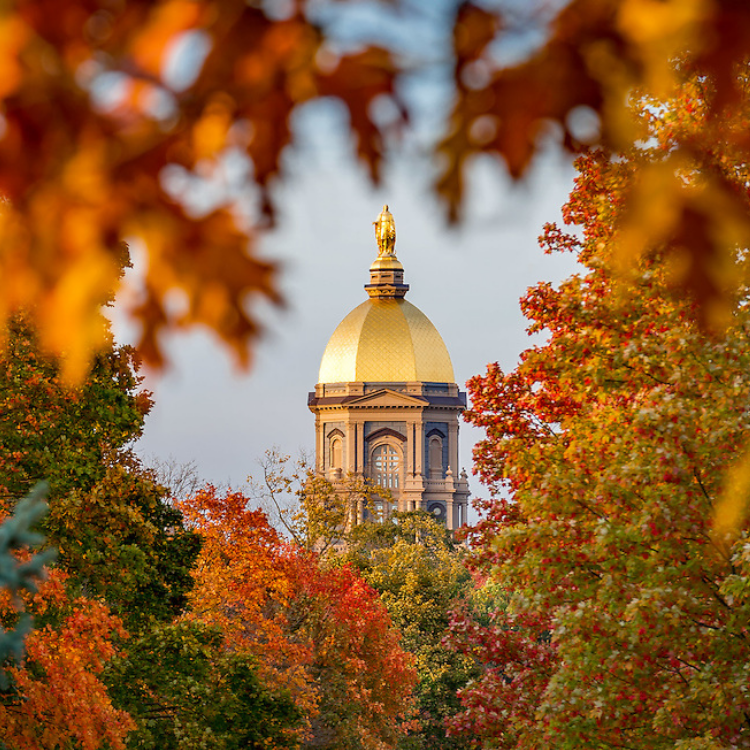 Notre Dame University