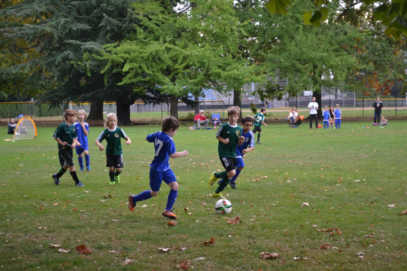 Recreation Overview SESC