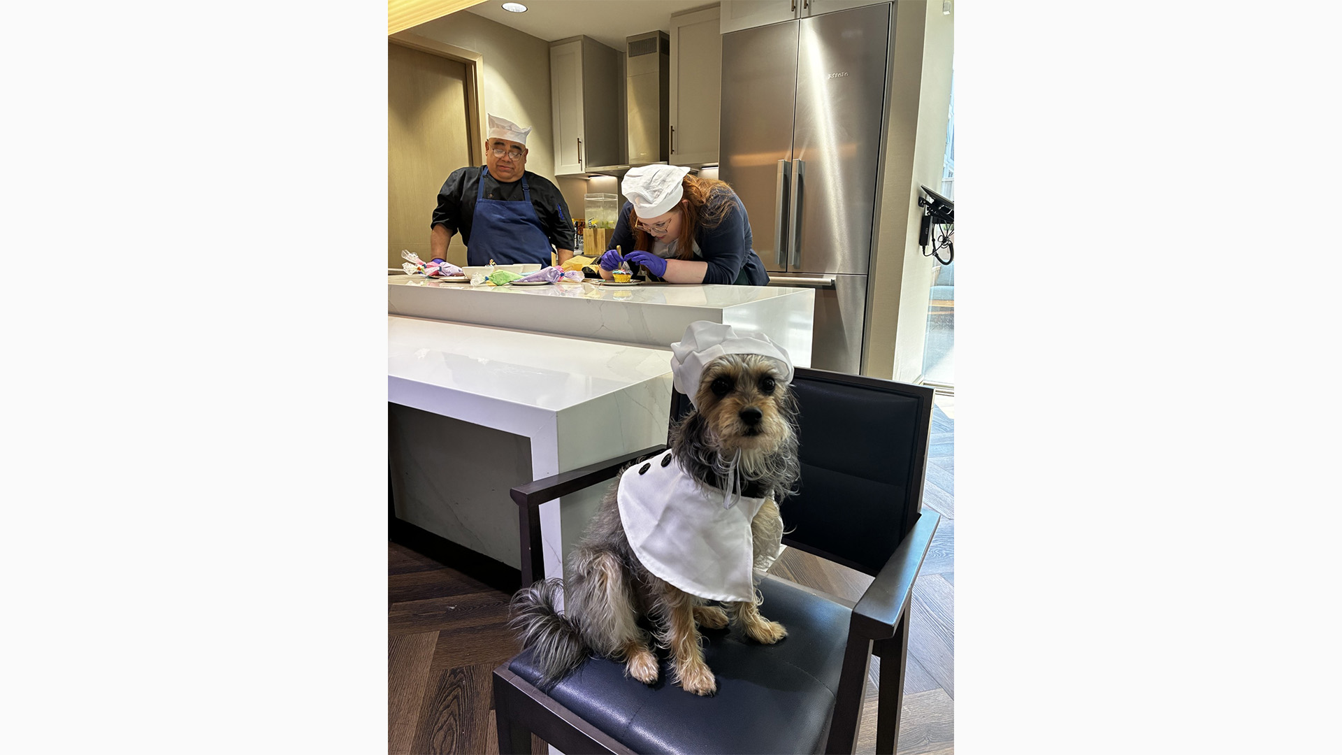 Dog in a chef outfit sits on a chair in the foreground, while two people in chef hats work in a modern kitchen background.