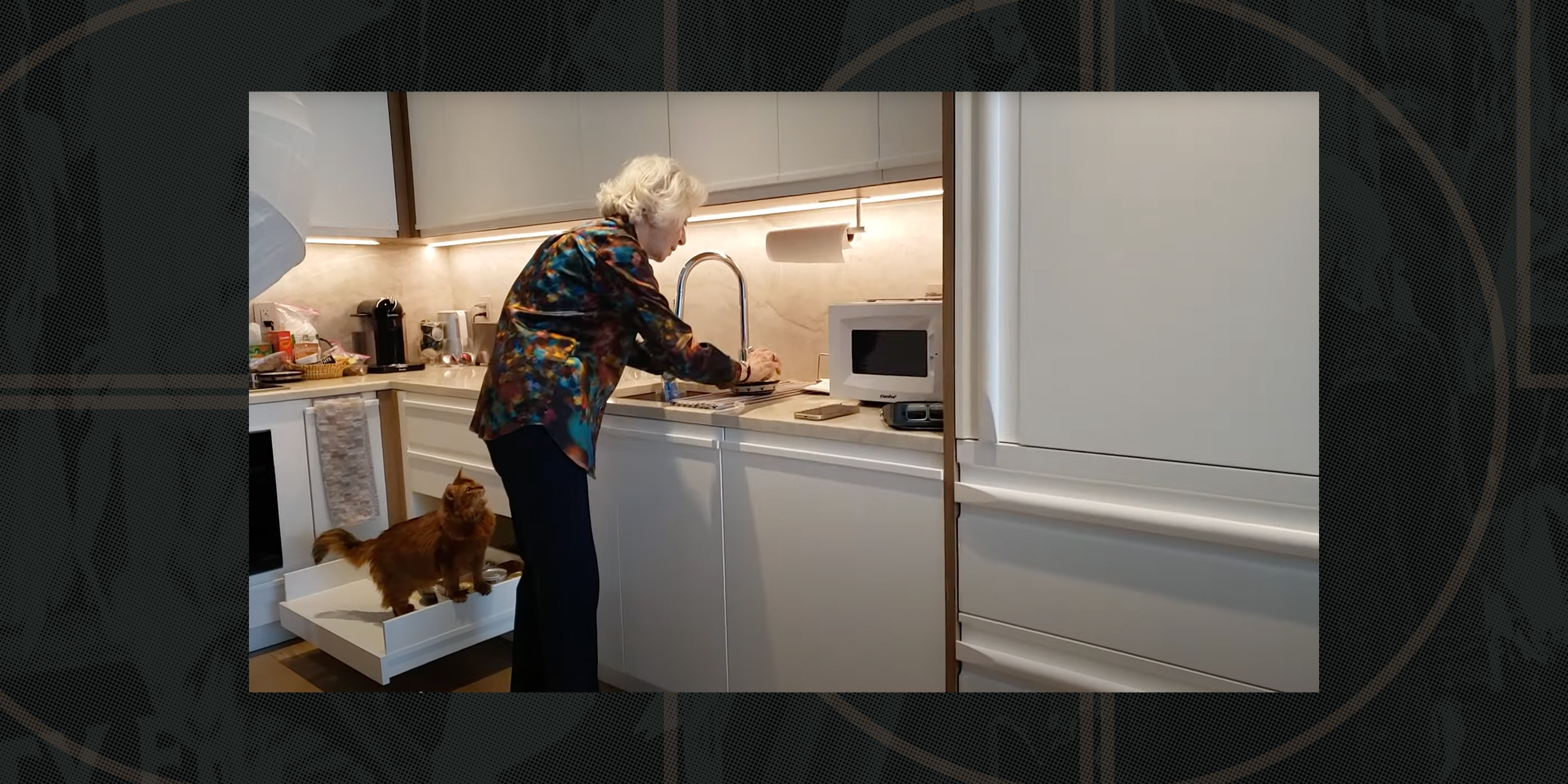 Older woman washing dishes in a modern kitchen, with a cat standing on an open drawer beside her.