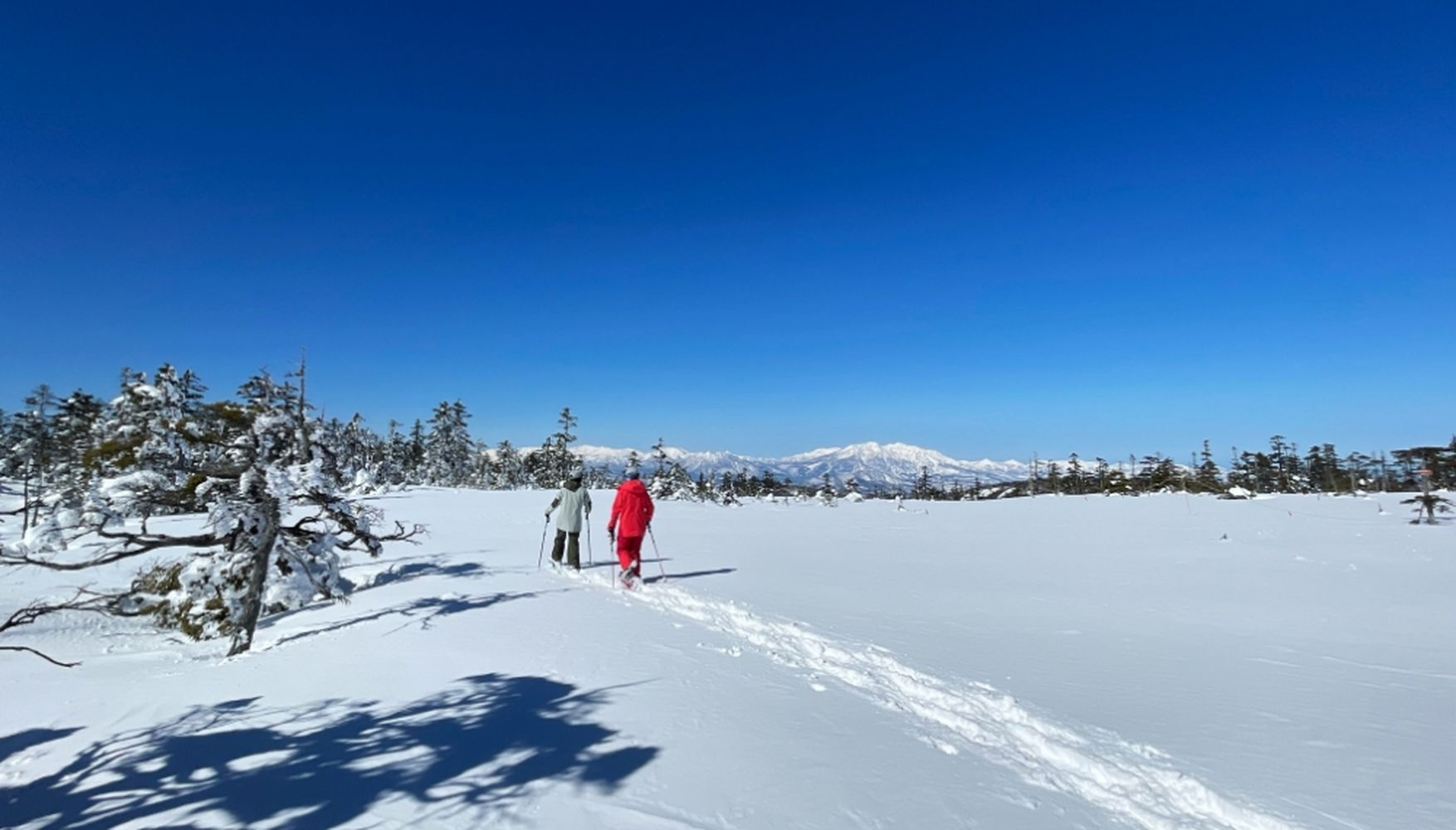 Japow Shigakogen