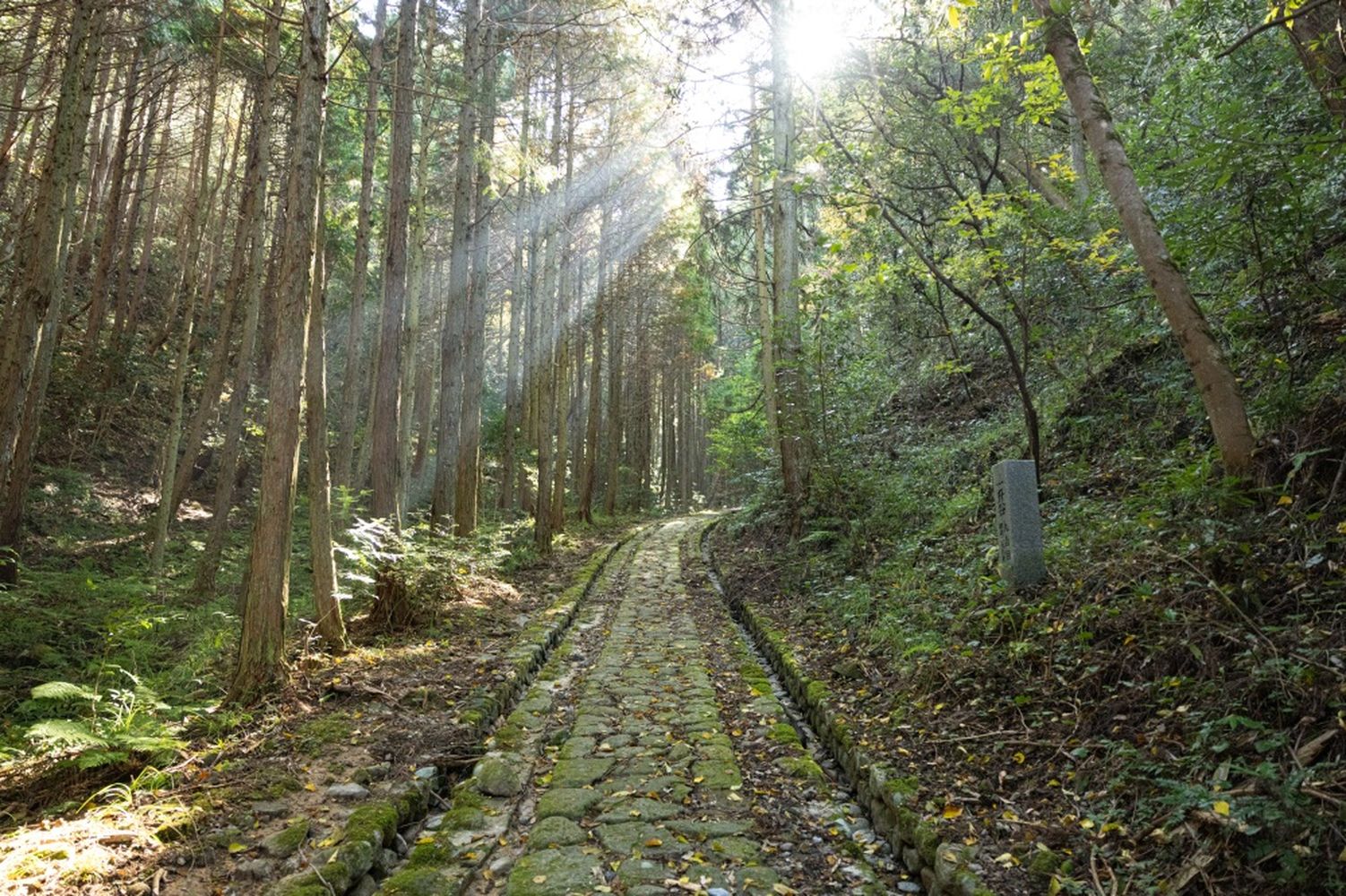 Hagioukan Trekking