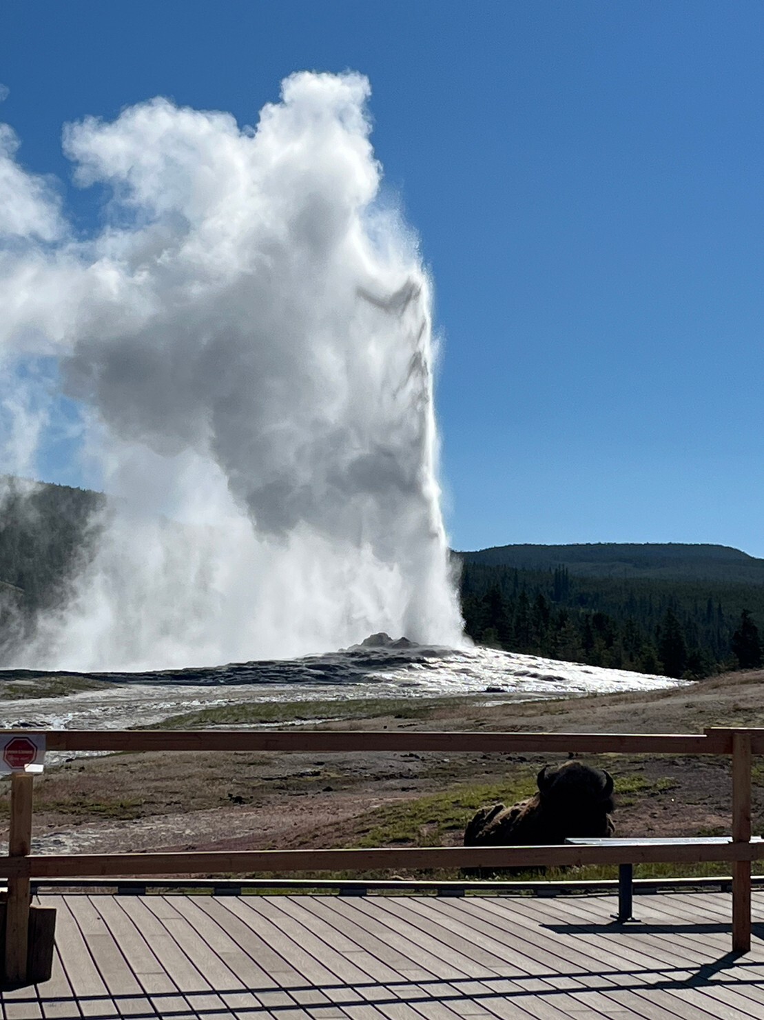 Old Faithful