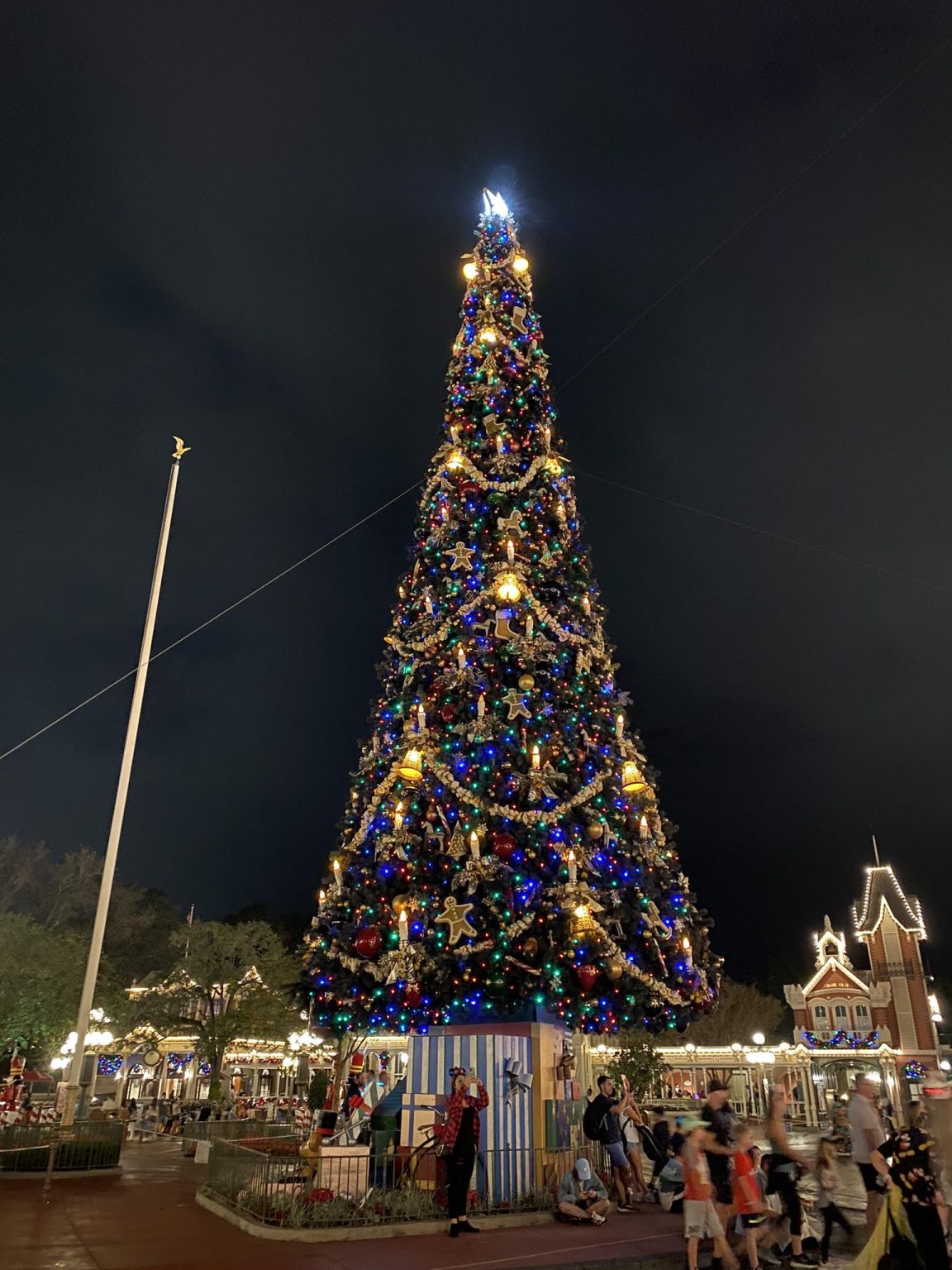 CHRISTMAS TREE