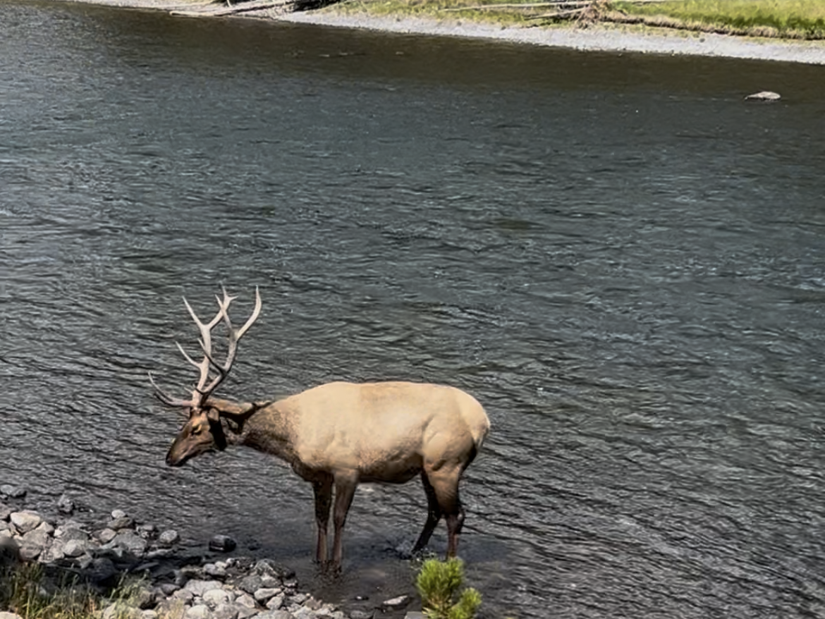 グランドティトン国立公園