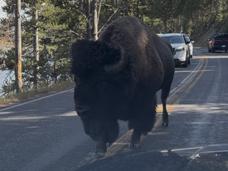 グランドティトン国立公園