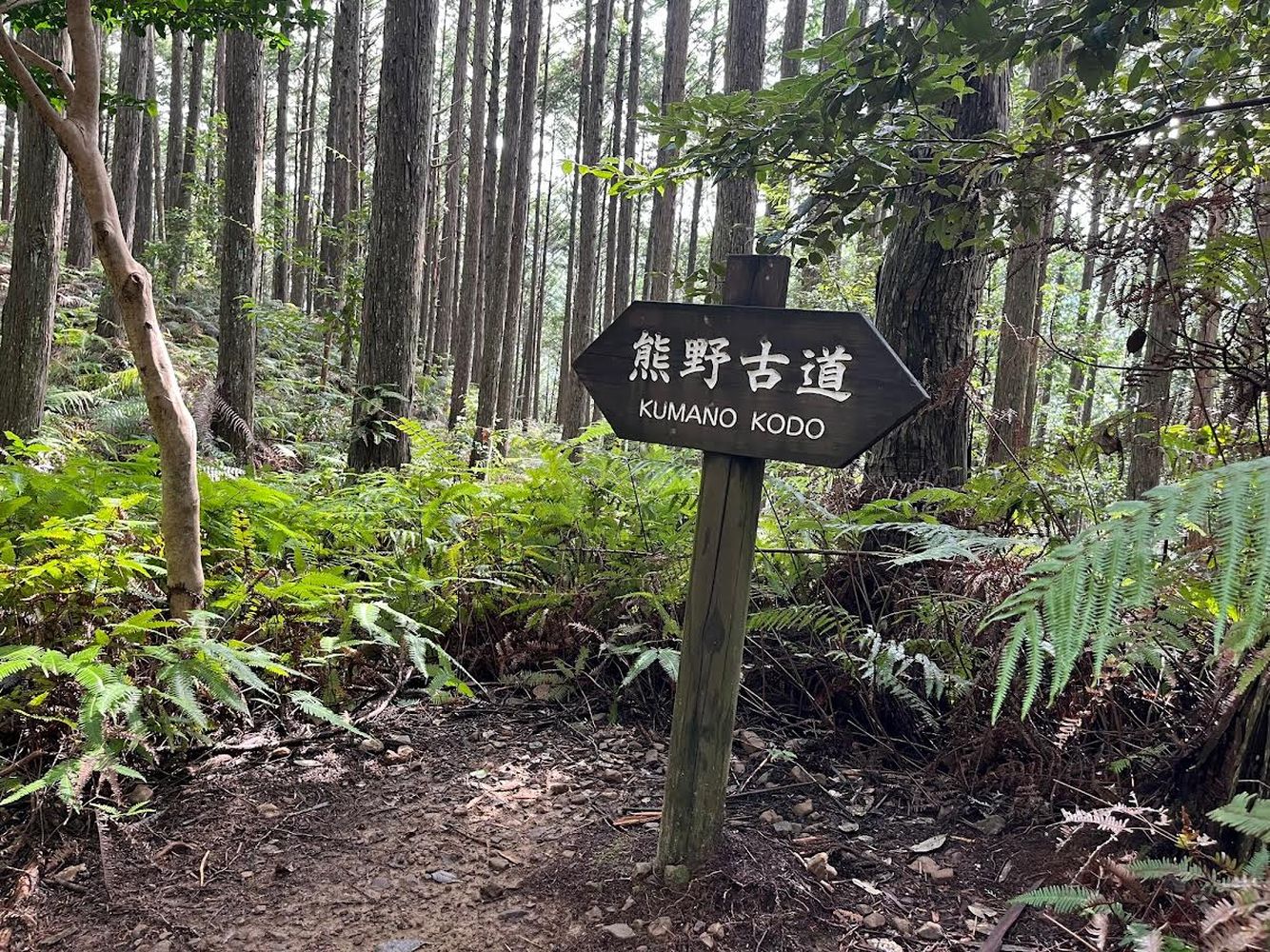 Kumano Kodo Sign