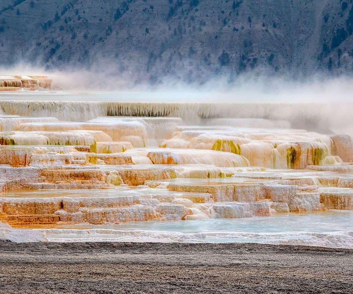 マンモス・ホット・スプリング(イエローストーン国立公園)
