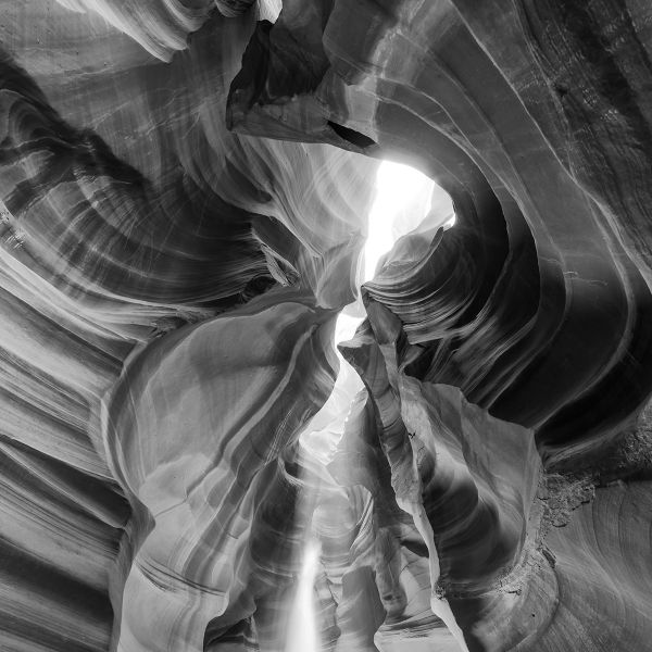 ベーシックプラン背景画像