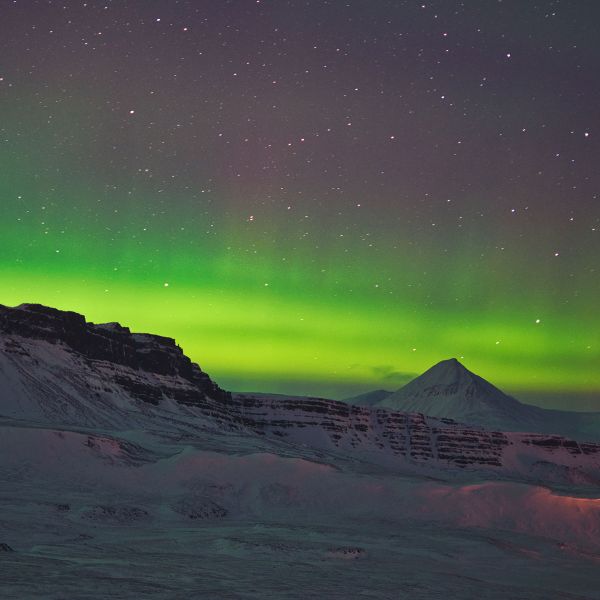 安心パック背景画像