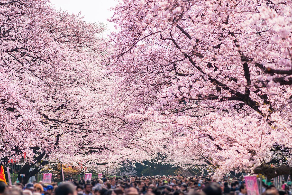 Ueno Park