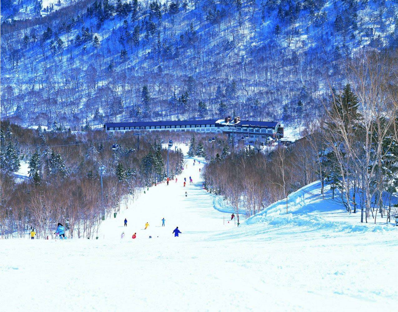 Shiga Kogen Ski Area