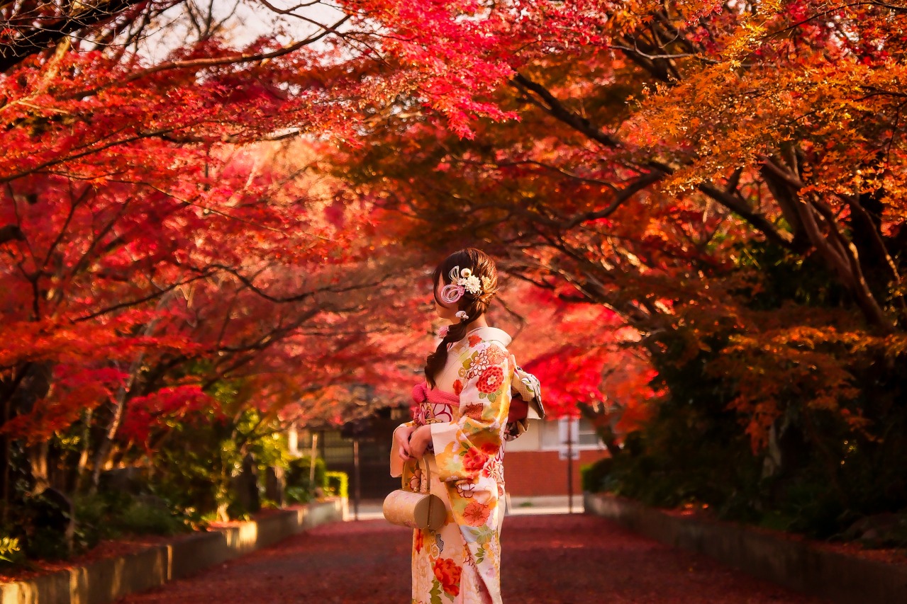 Yamaguchi City Autumn