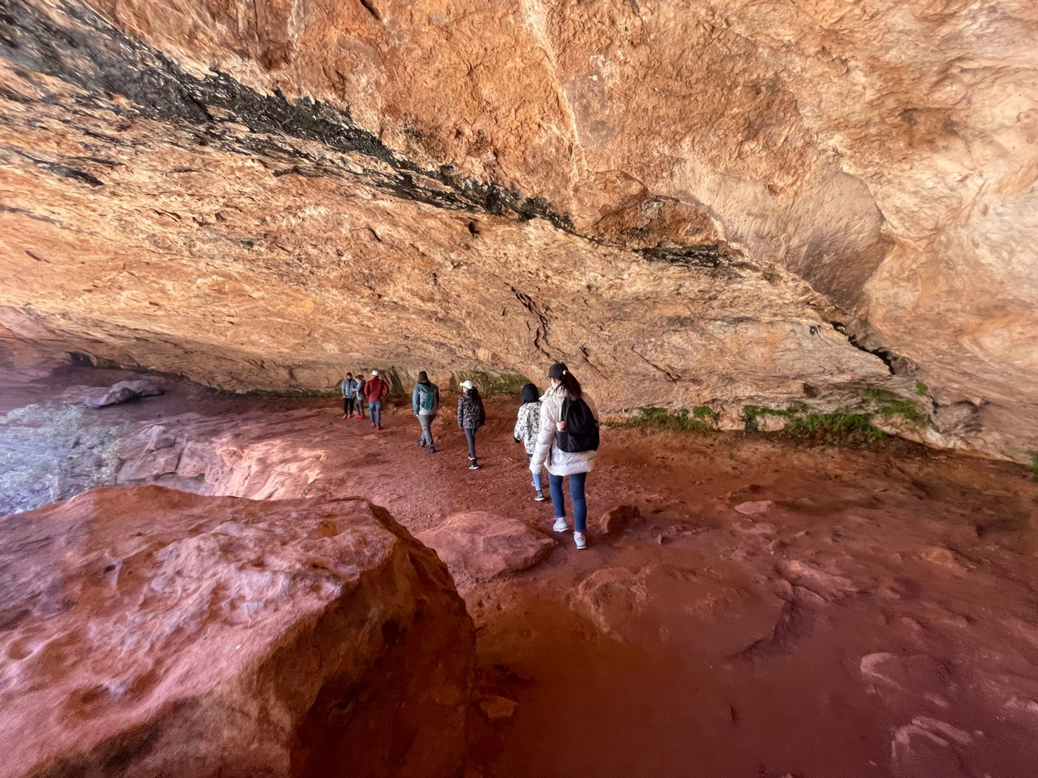 Zion-National-Park