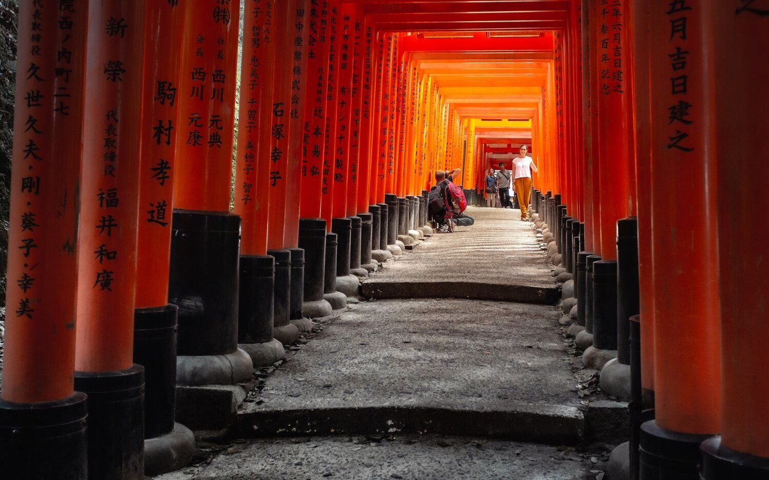 The Essense of Kyoto fushimiinari