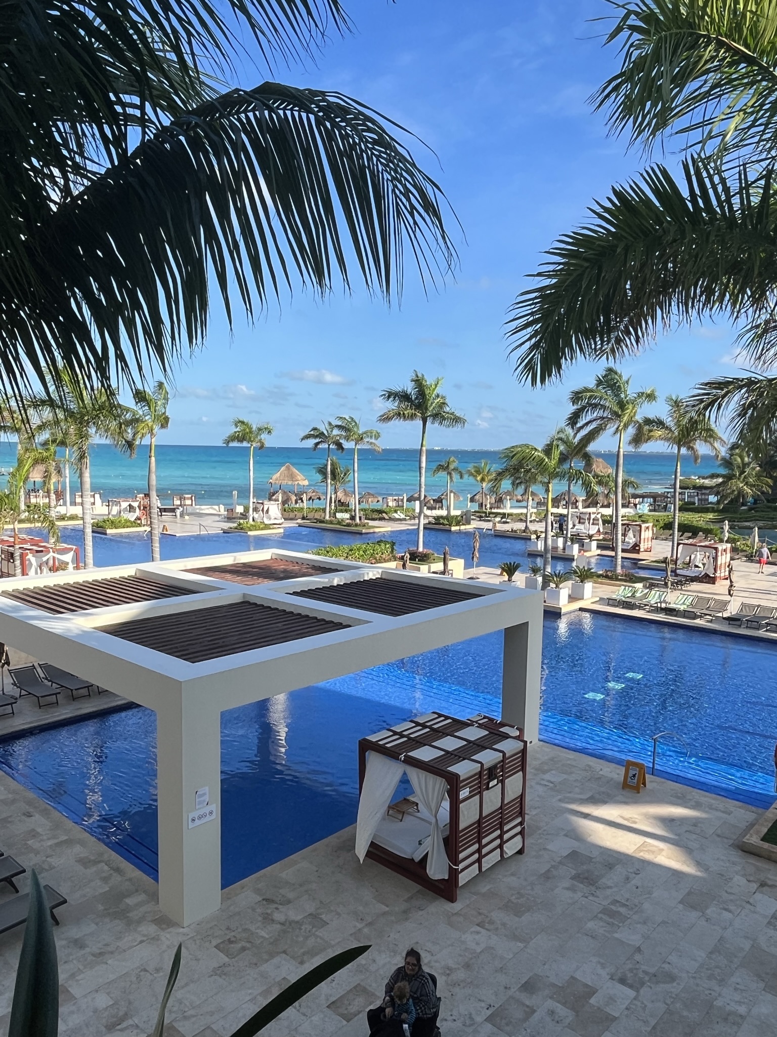 hyatt ziva