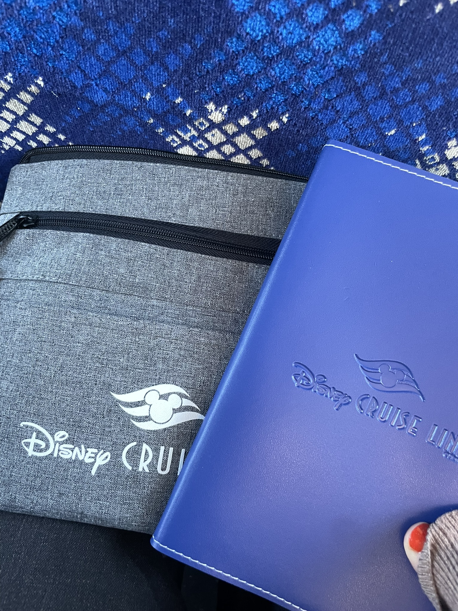 Disney Cruise Gift