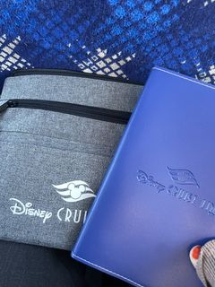 Disney Cruise Gift