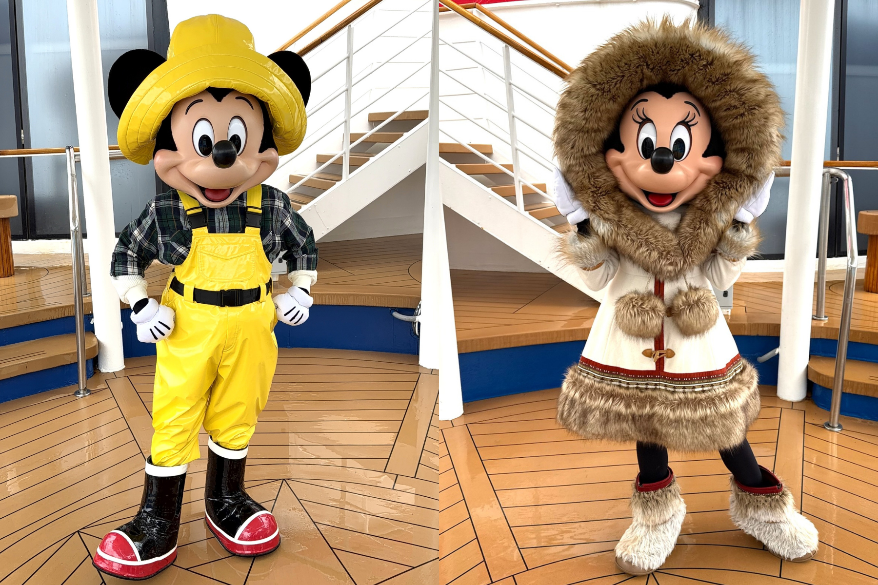 Wonder Alaska mickey and minnie Wonder Alaska mickey and minnie