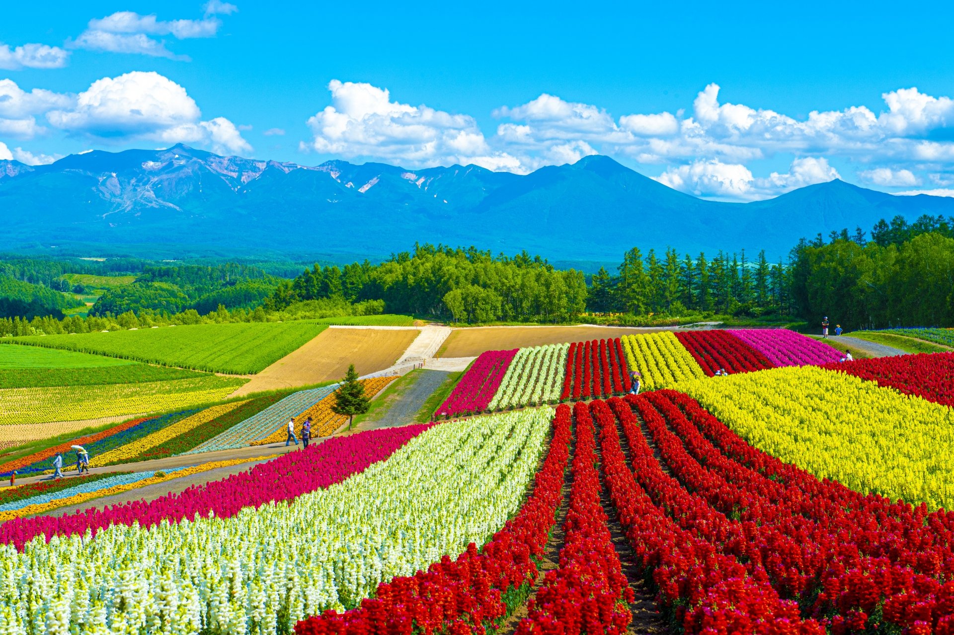 Explore Hokkaido Seasonal Splendor And Vast Landscapes Explore Hokkaido Seasonal Splendor And Vast Landscapes