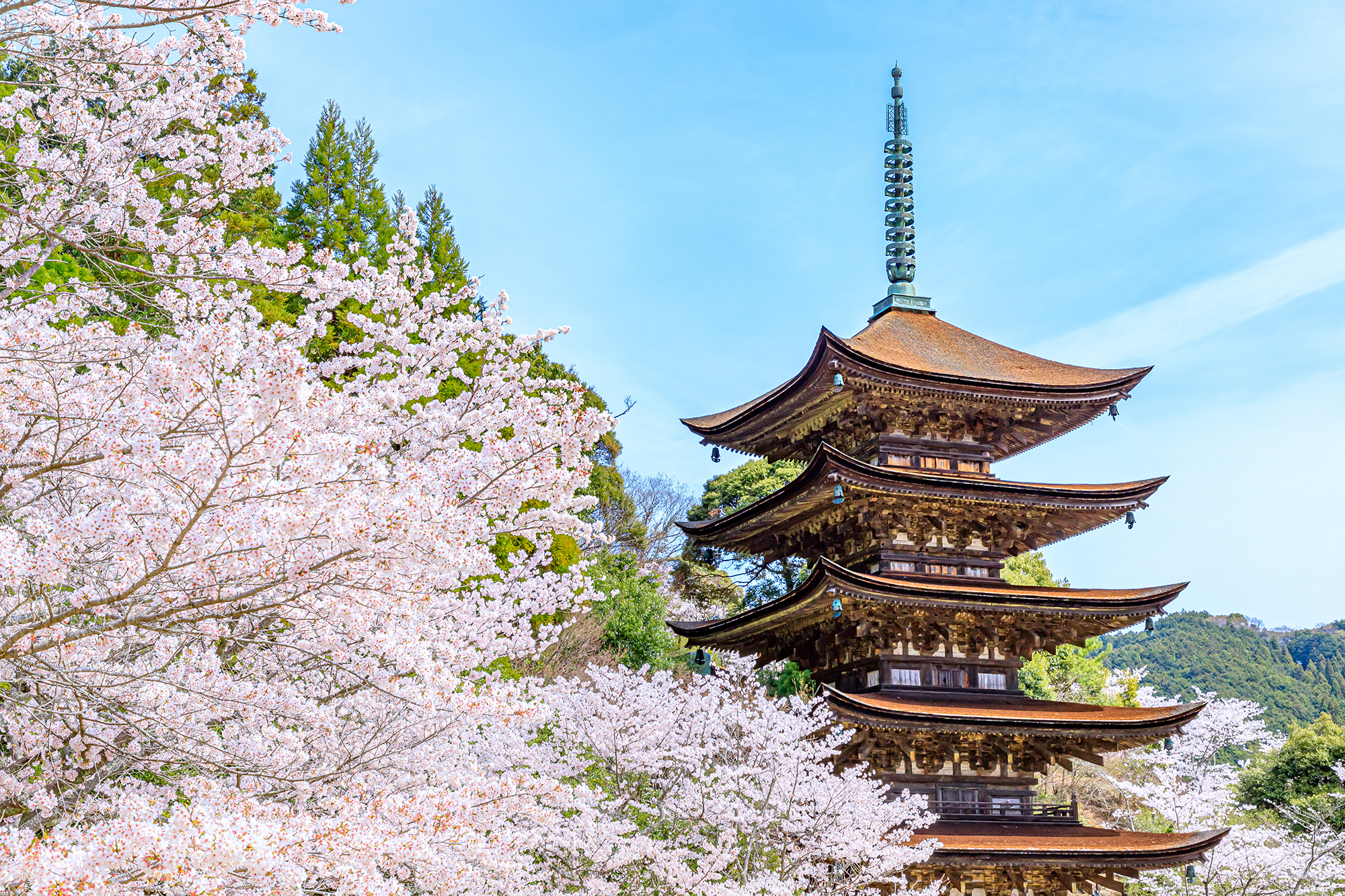Rurikoji Five Storied Pagoda