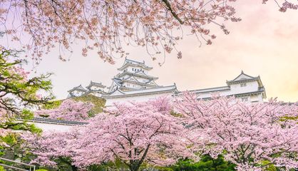 Himeji Castle