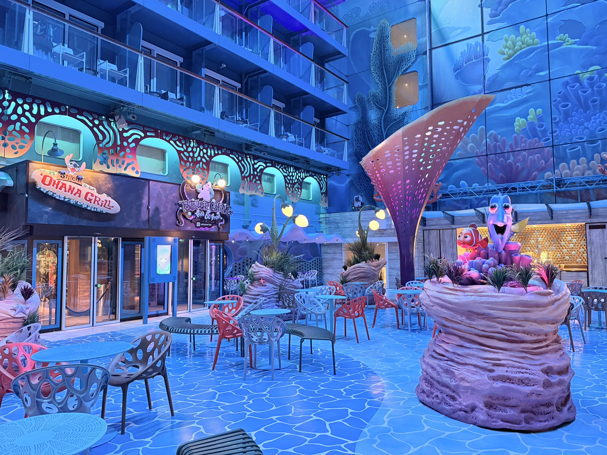 Adventure Discovery Leaf Night