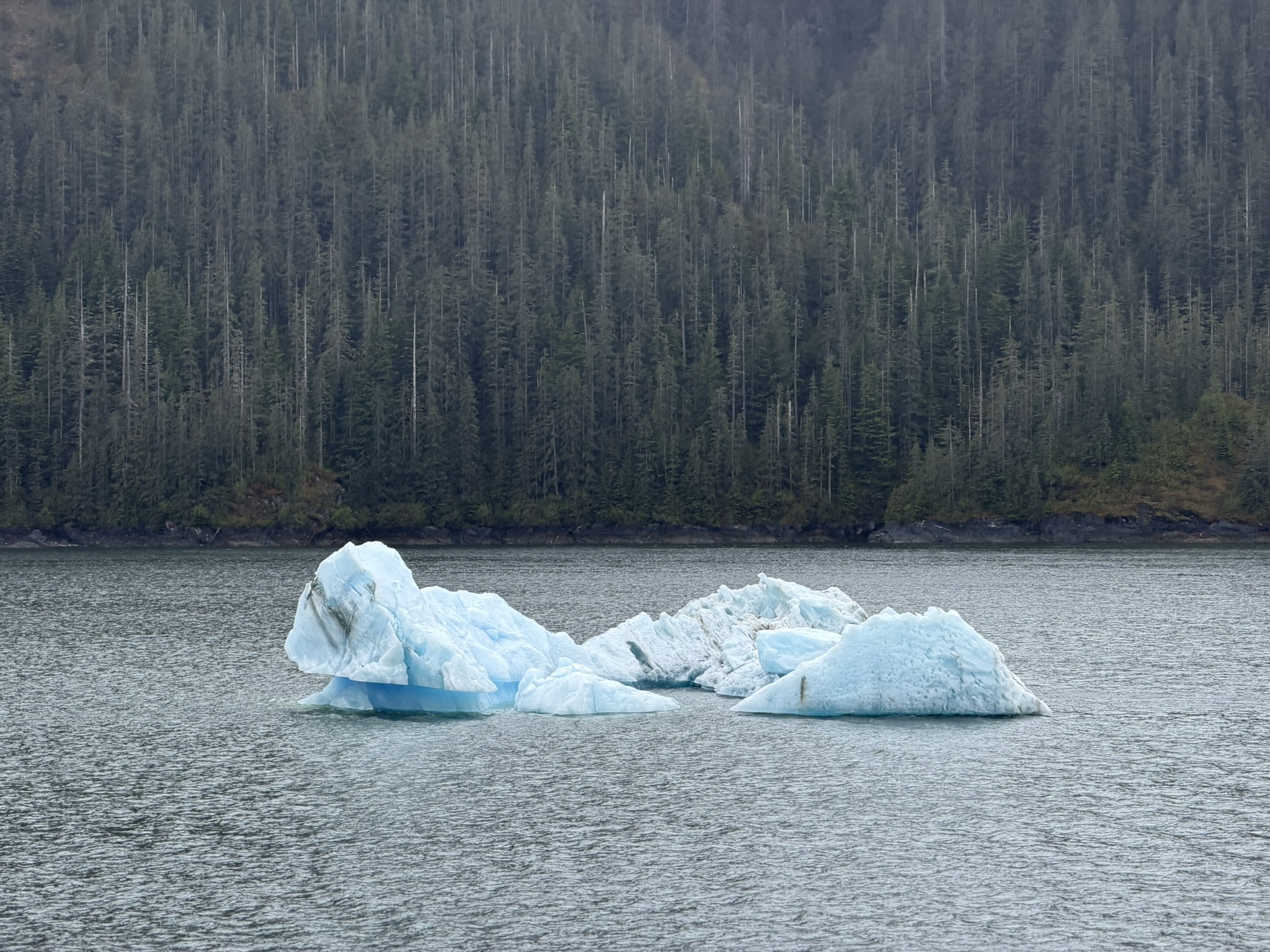 wonder alaska driftice