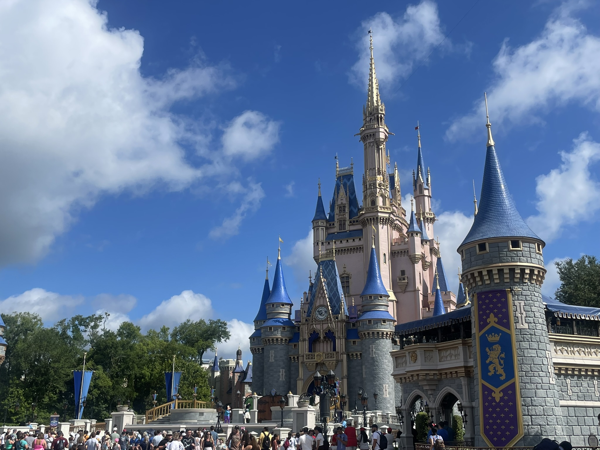 Disney World Castle