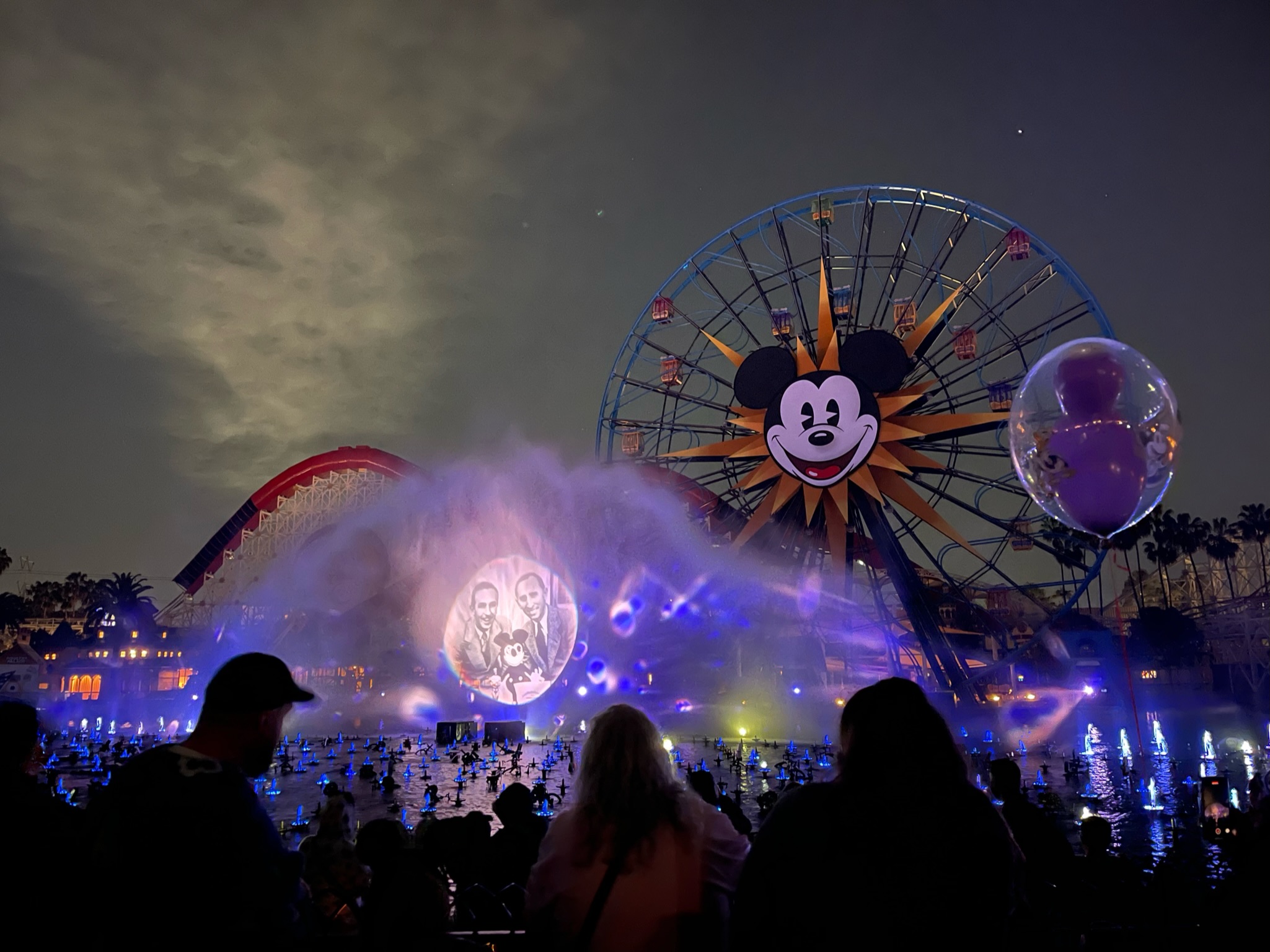 DISNEY LAND