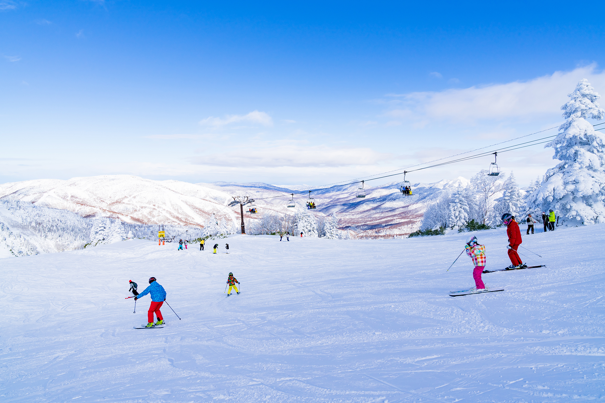 shiga kogen