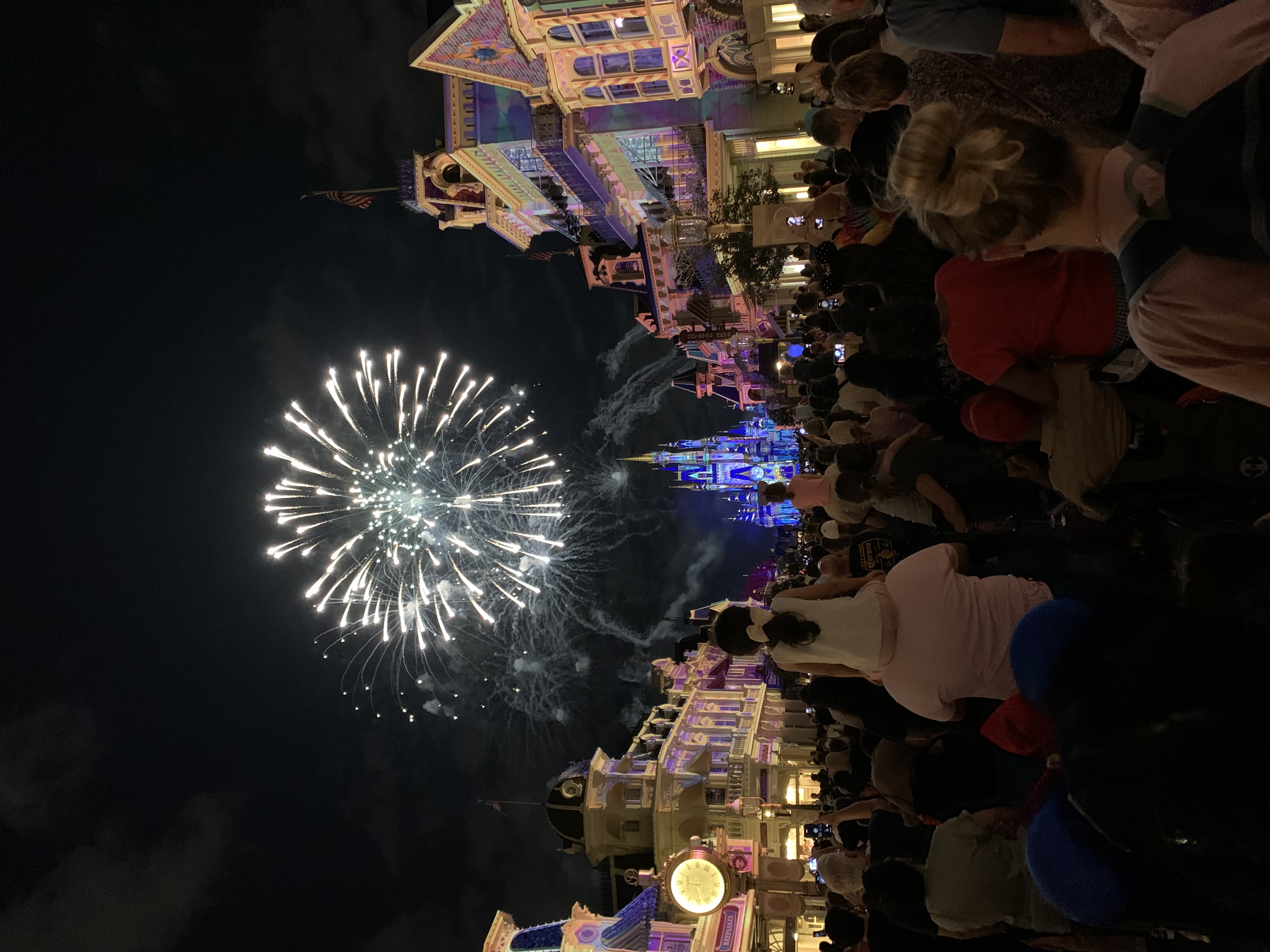 MAGIC KINGDOM