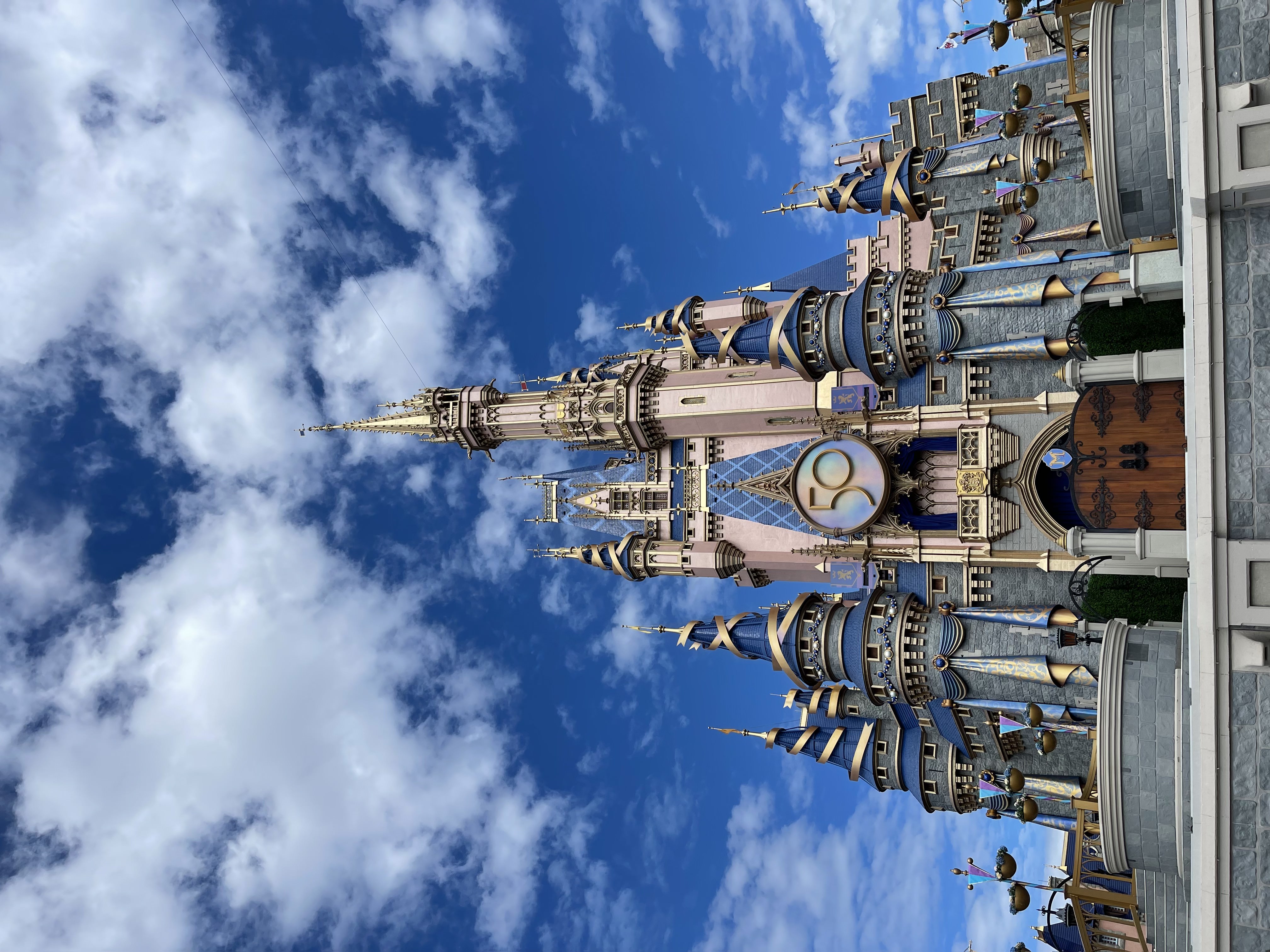 Disney world