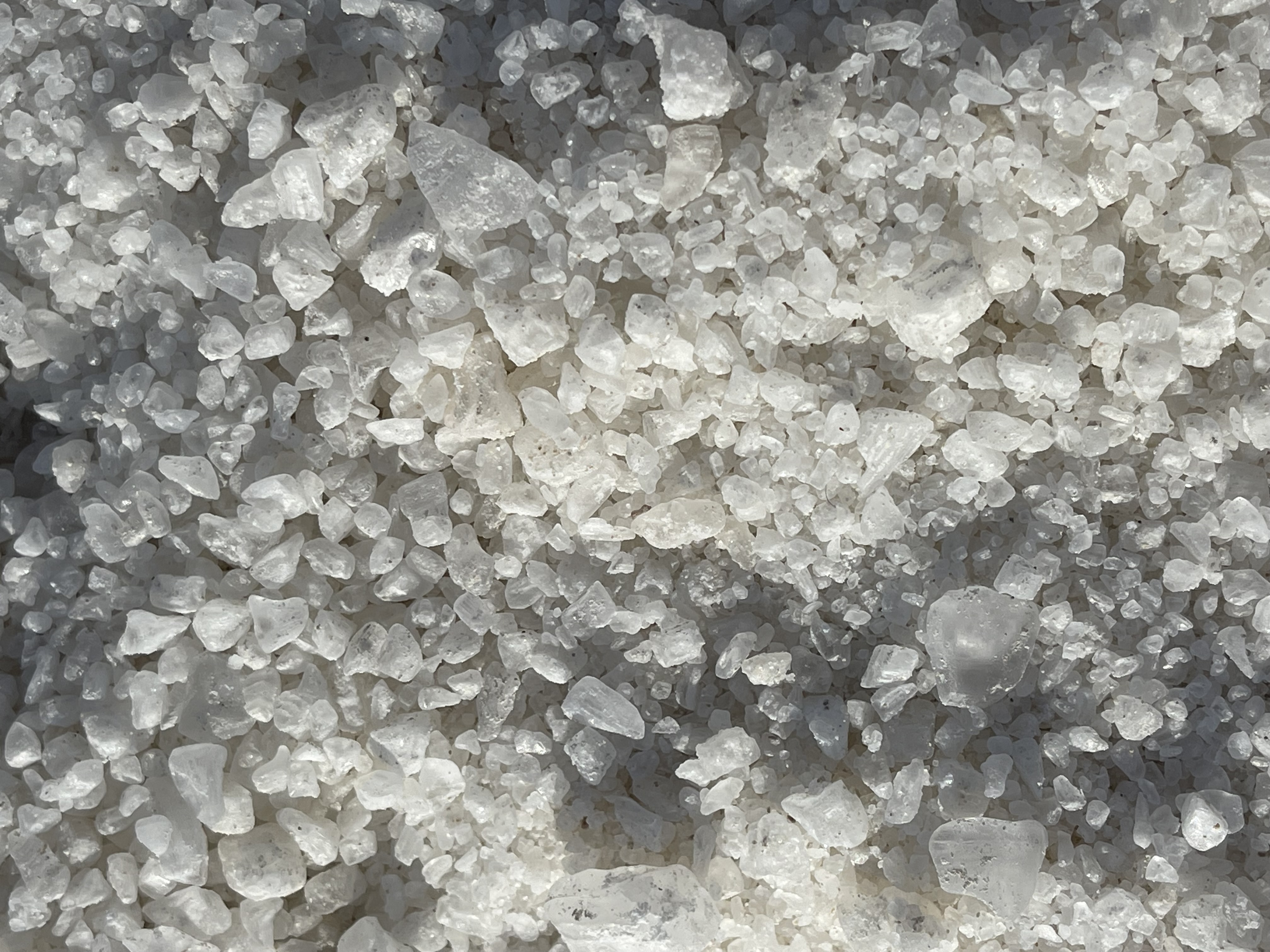 SALT