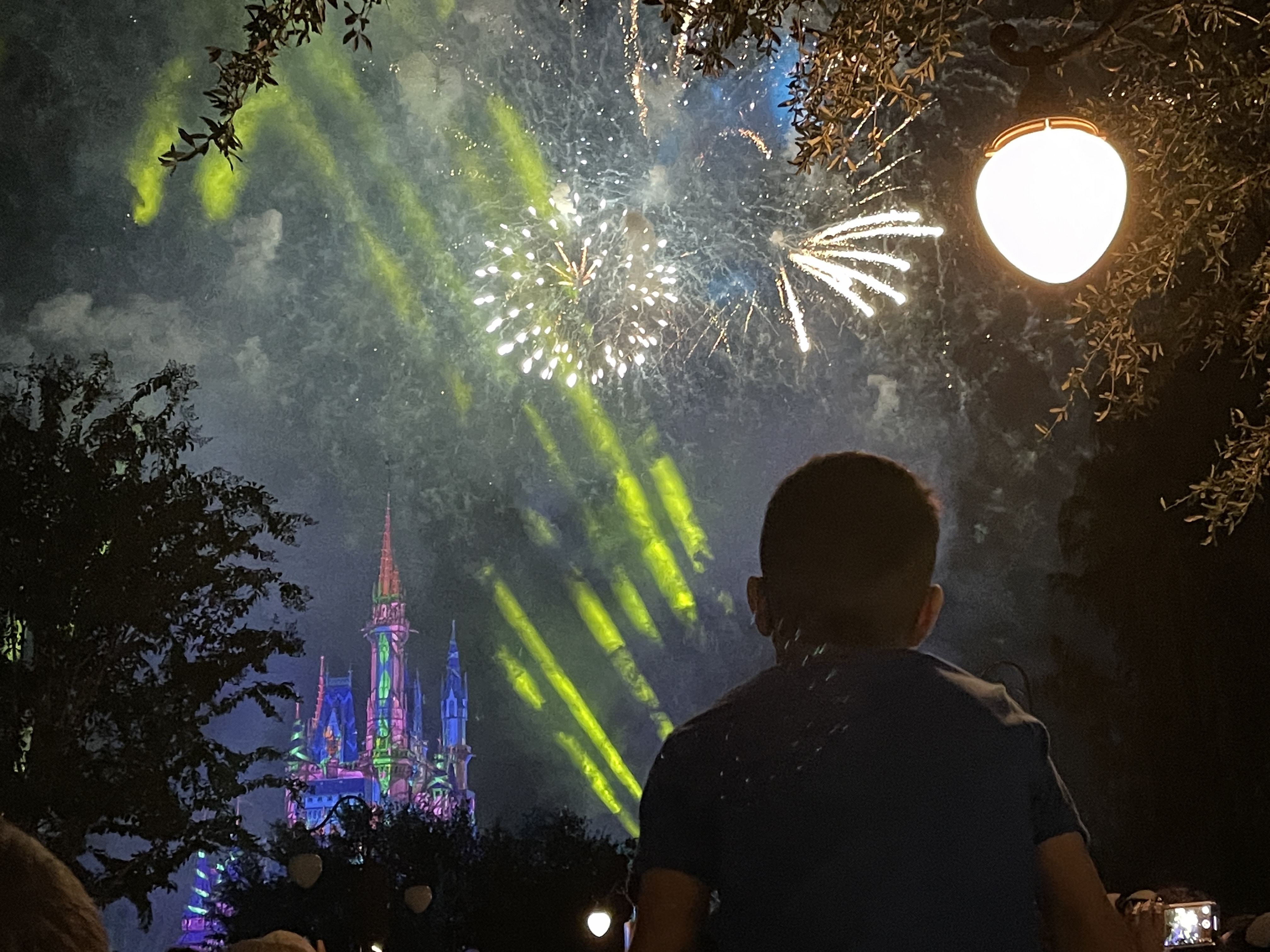 ディズニー・ワールド
