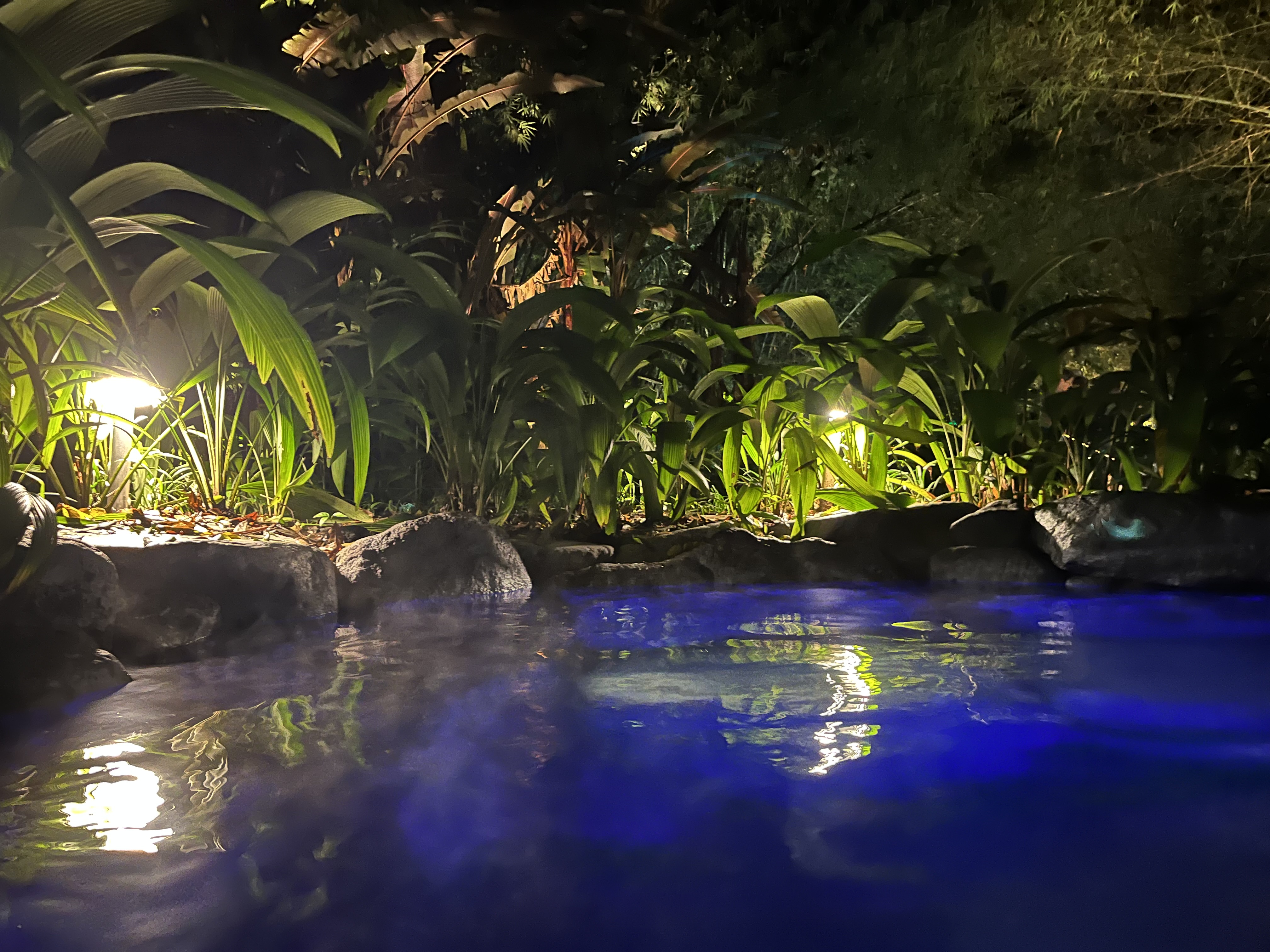 Hotel Arenal Manoa