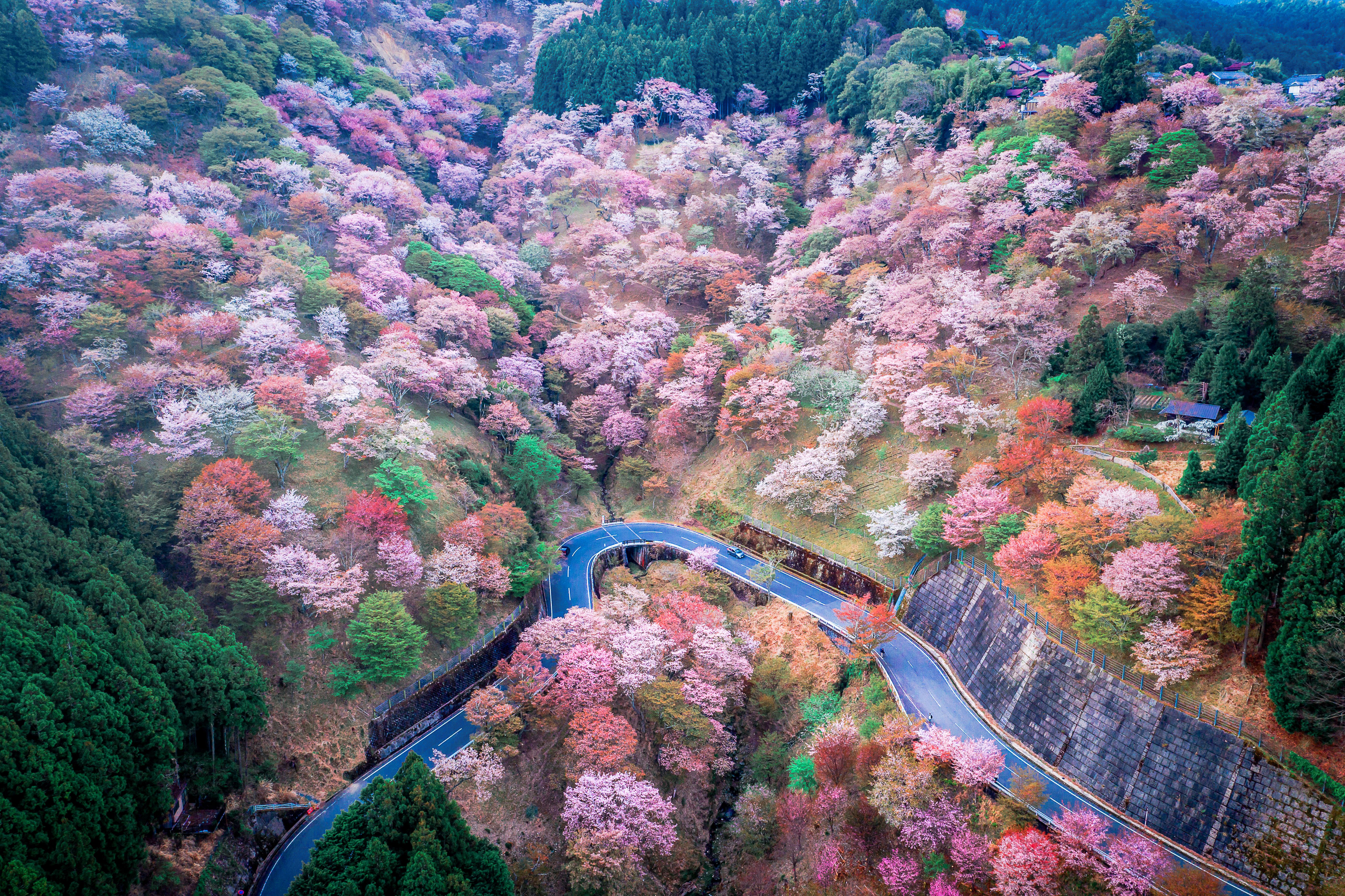 Mt Yoshino Nara