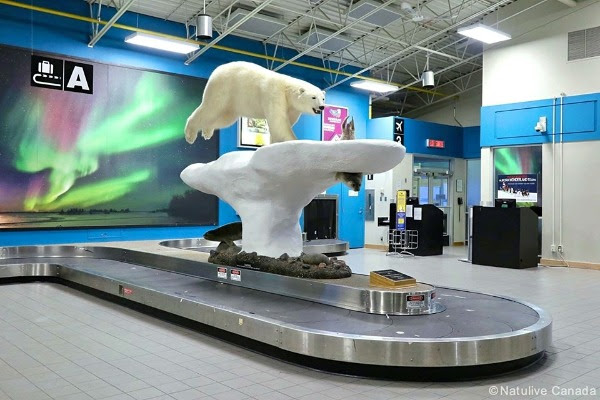 イエローナイフ