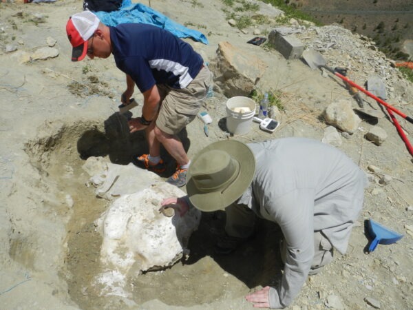 dig-for-a-day