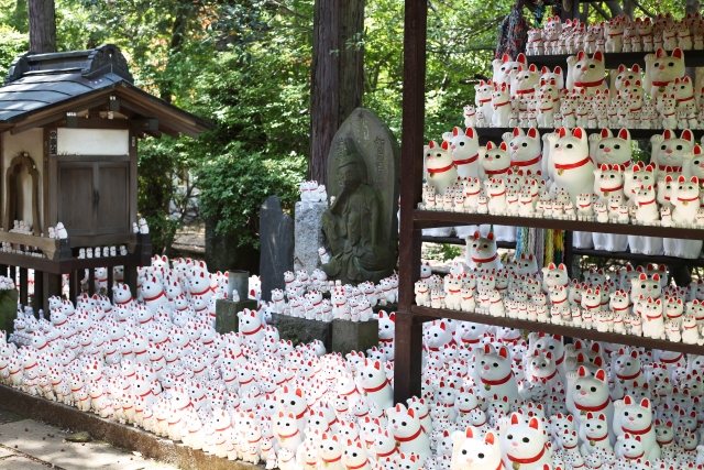 Numerous white Maneki-neko (beckoning cat) statues of various sizes displayed on shelves and the ground in a garden setting.Gotokuji Temple Maneki-neko