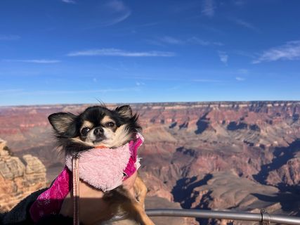 キャンピングカー旅行