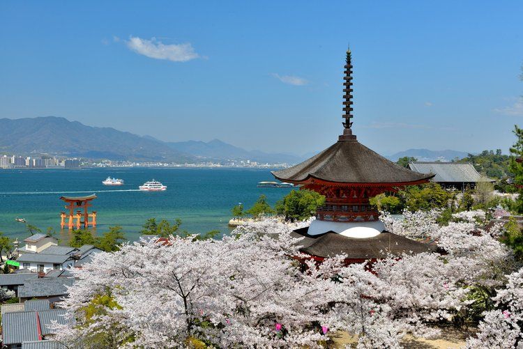 Charms of Southern Japan Cherry Blossom Tour hiroshima