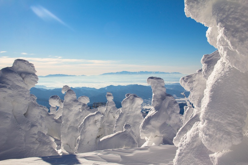 Zao Snow Monster