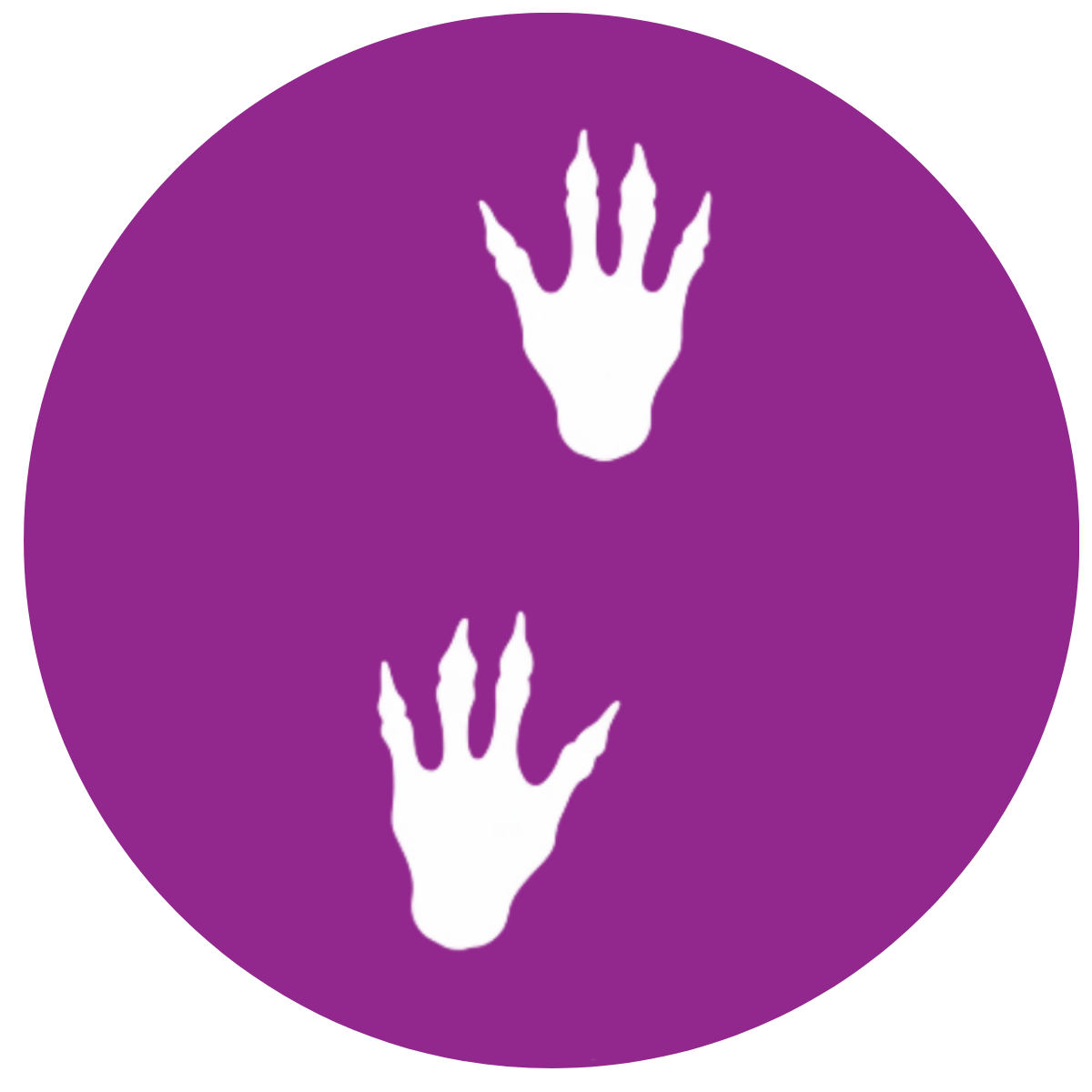 The footprints of this dinosaur